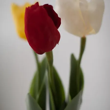 아파트 Junto A La Universidad Y La Catedral *